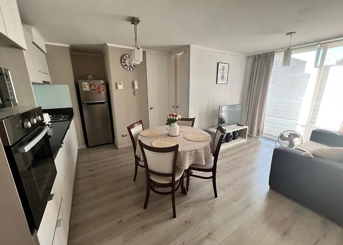Acogedor Apartamento En Centro De Santiago.